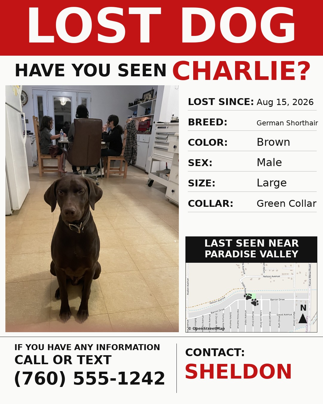 HiDesertPet lost dog flyer for Charlie